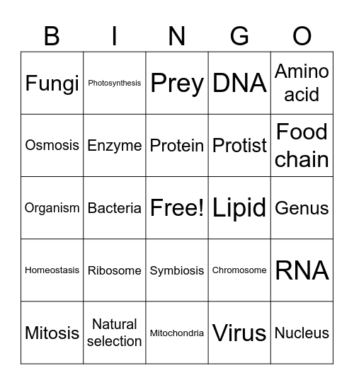 BIO BINGO Card