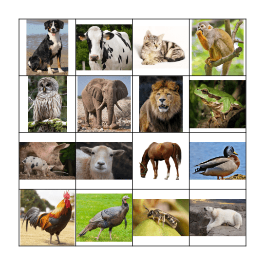 Animal Sound Bingo Card