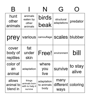 3rd Grade Unit 1 BINGO Card