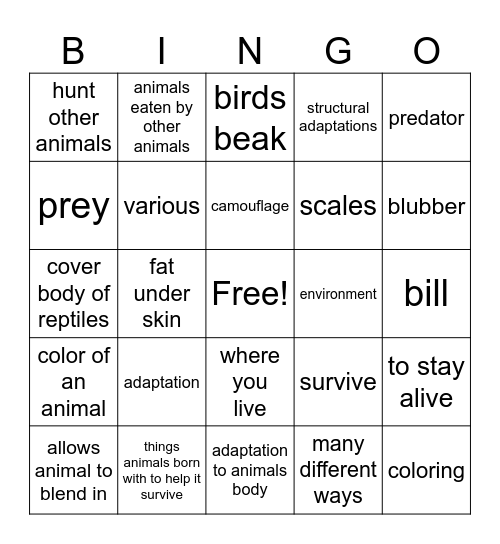 3rd Grade Unit 1 BINGO Card