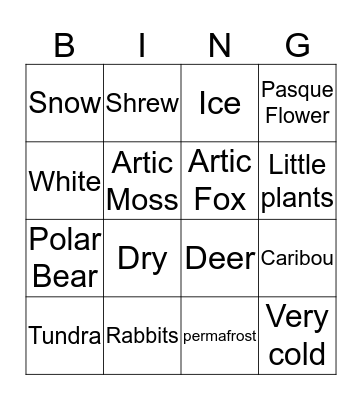 Tundra Bingo Card