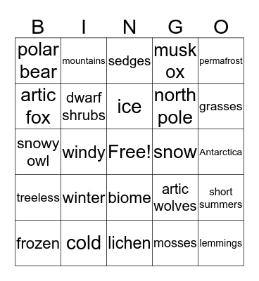 Tundra Bingo Card