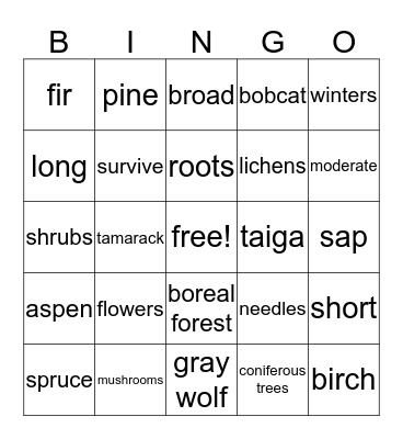 taiga Bingo Card