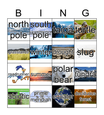 biomes Bingo Card