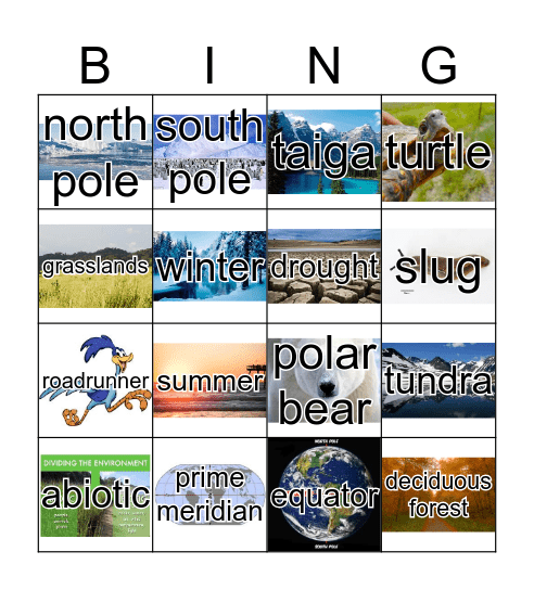 biomes Bingo Card