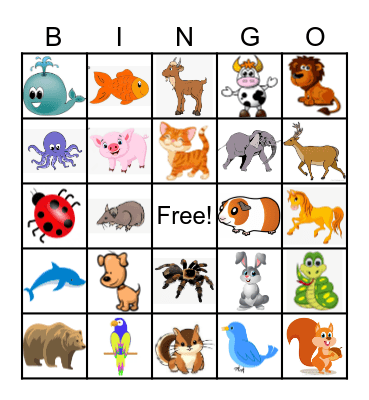 ANIMAL Bingo Card