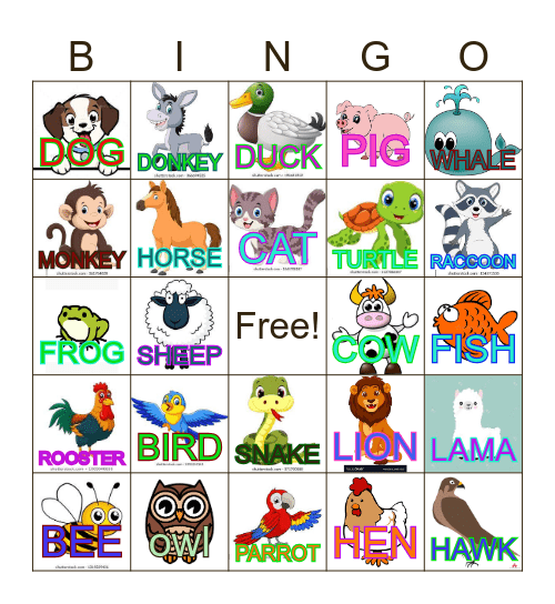 ANIMAL Bingo Card