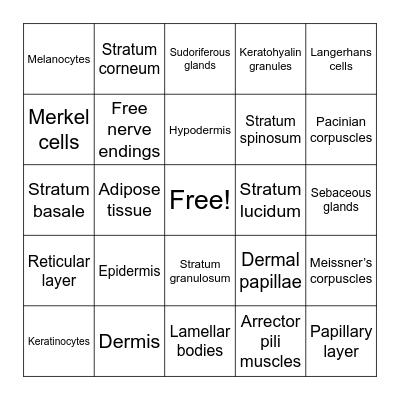 INTEGUMENTARY Bingo Card