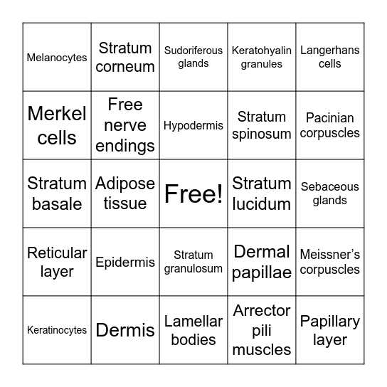INTEGUMENTARY Bingo Card