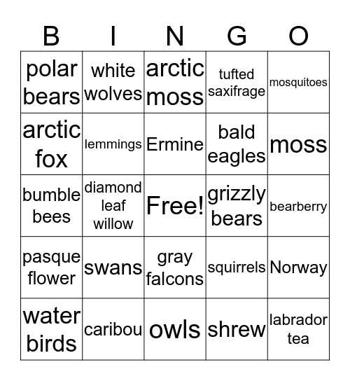 tundra Bingo Card