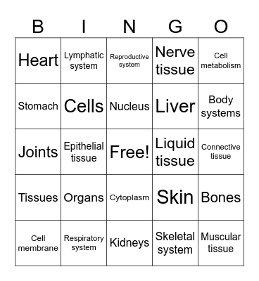Skin Anatomy Bingo Card
