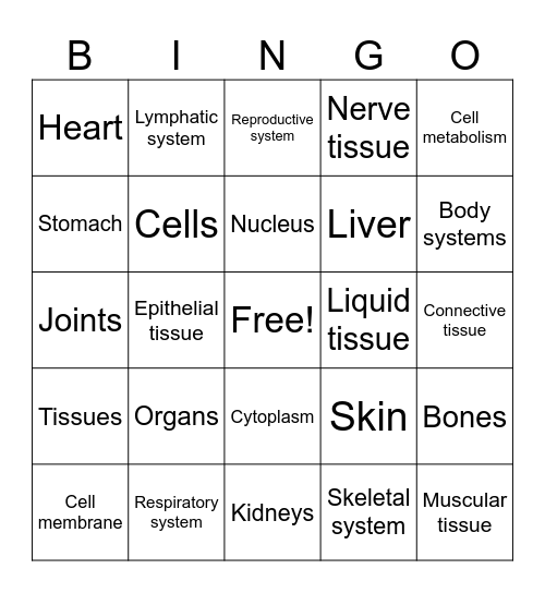 Skin Anatomy Bingo Card