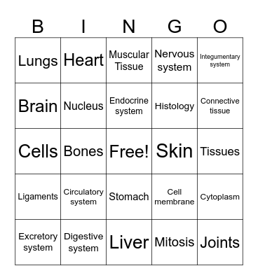 Skin Anatomy Bingo Card