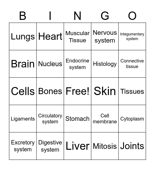Skin Anatomy Bingo Card