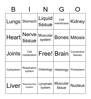 Skin anatomy Bingo Card