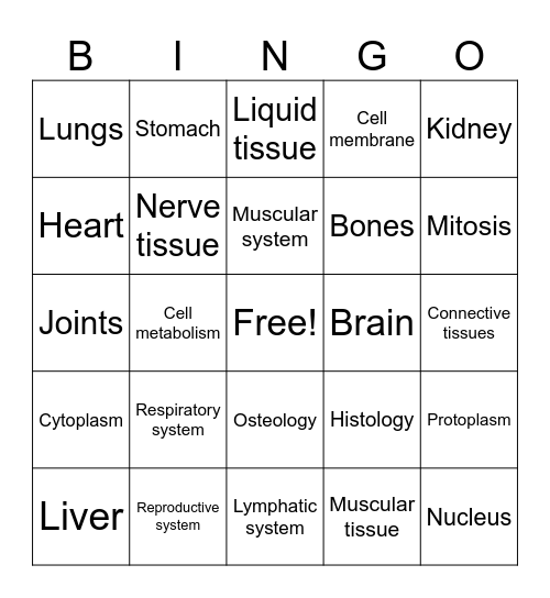 Skin anatomy Bingo Card