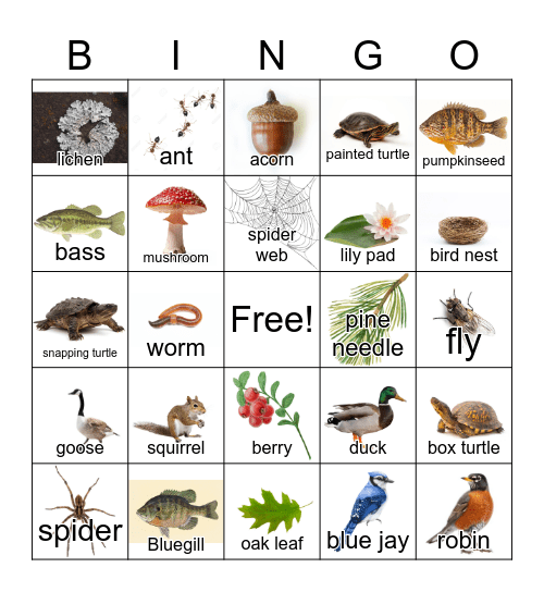 FISHING DOCK Bingo Card