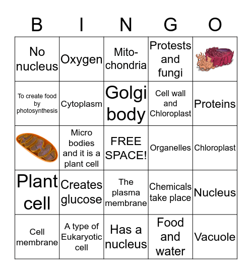 Cells Bingo Card