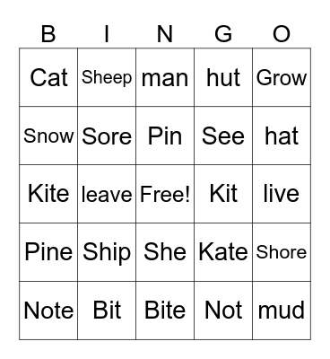 Minimal Pairs BINGO Card