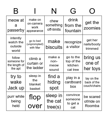 Kiwi Bingo 🥝 Bingo Card