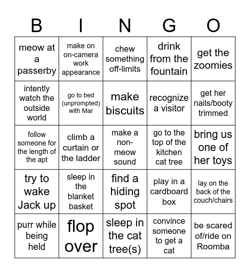 Kiwi Bingo 🥝 Bingo Card