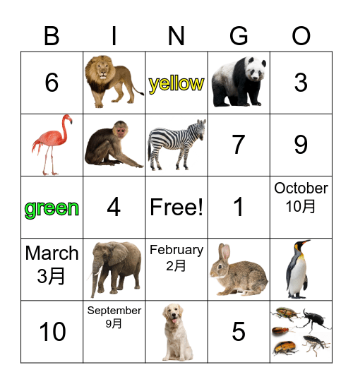 English Safari Camp Bingo Card
