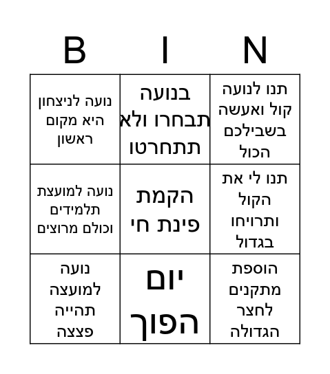 נועה למועצה Bingo Card