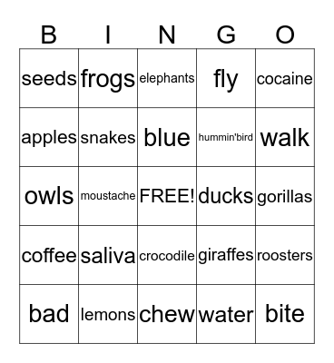 Did You know ? Bingo Card