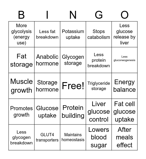 Insulin action on target tissues J.S Bingo Card