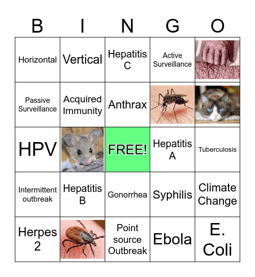 Infectious Diseases Bingo Card
