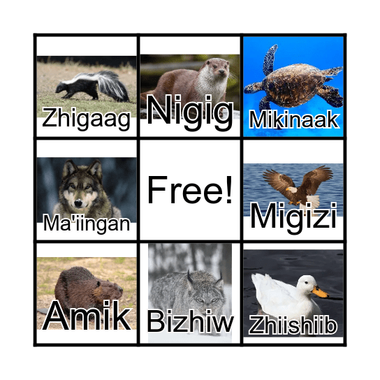 Animal Bingo Card