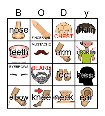 BODY Bingo Card