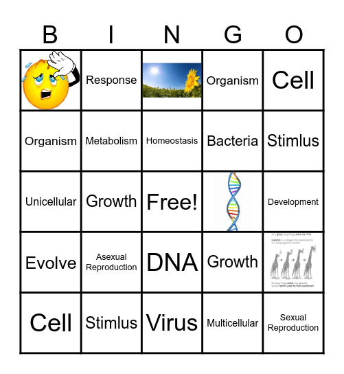 Characteristics of Living Things Bingo Card