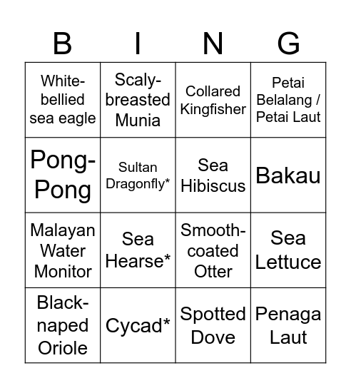 Coney Island Bingo Card