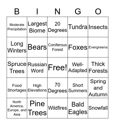 Bingo Card