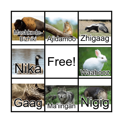 Animal Bingo Card