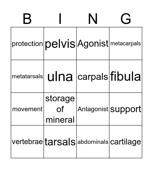 PE  Bingo Card
