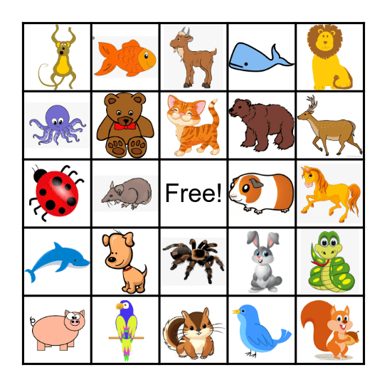 ANIMAL Bingo Card