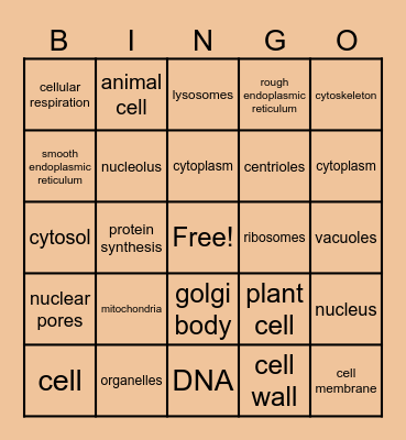 Cell Biology Bingo Card