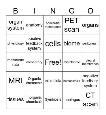 A&P Chapter 1 Definitions Bingo Card