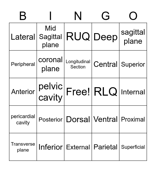 A&P Ch. 1 Bingo Cavities, Location, & Position Bingo Card