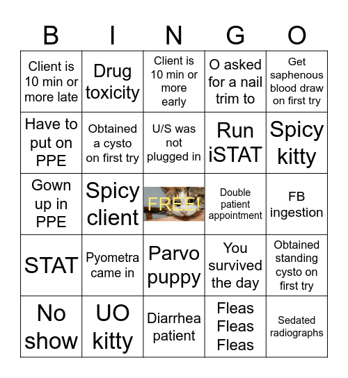 Happy Vet Tech Week! Bingo Card