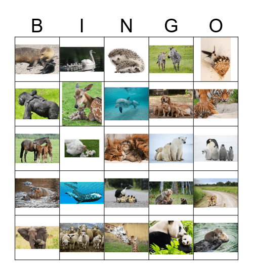 zoo Bingo Card