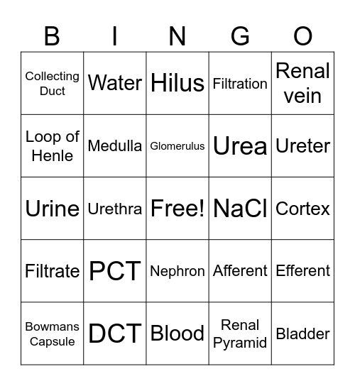 Kidney Bingo Card