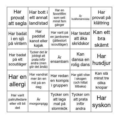 Hitta en scout som... Bingo Card