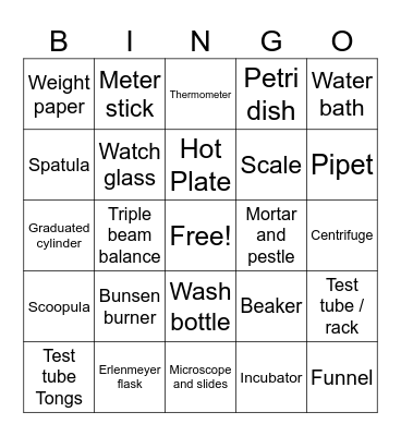 Bio Bingo! Bingo Card