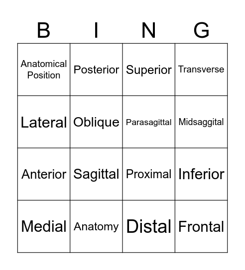 Anatomical Terminology Bingo Card