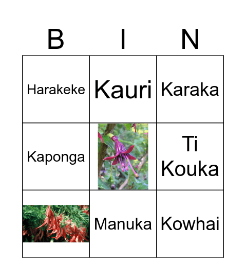 New Zealand Native Trees Bingo Card