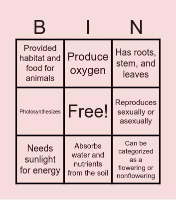 Characteristics of Plant Bingo Card