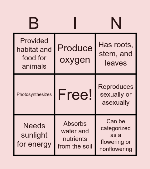Characteristics of Plant Bingo Card